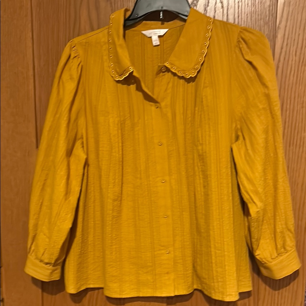 Mustard Yellow Blouse with Embroidered Collar